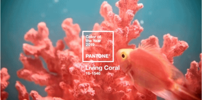 1545201139492119.png TIM截圖20181219142817.png